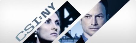 CSI: New York S07E21