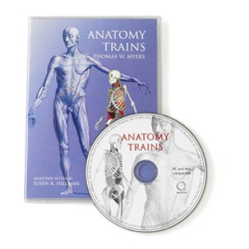 3D Anatomy Trains