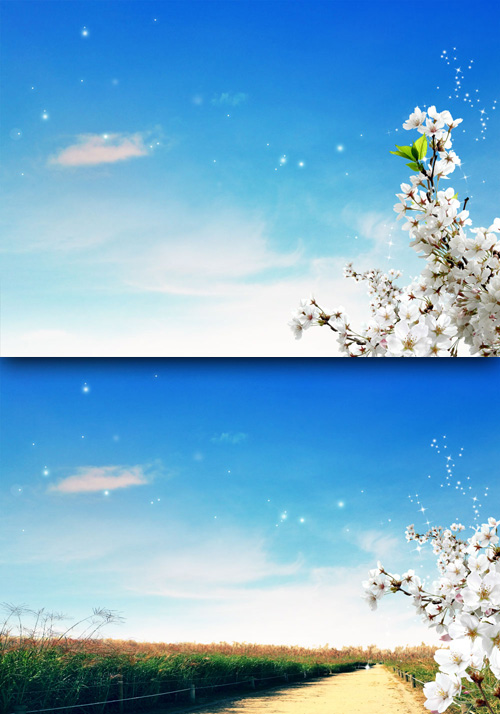 Sources - When spring blooms