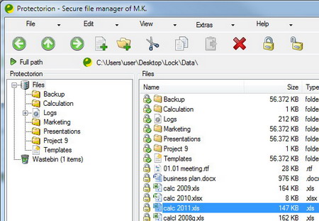 Braincell Protectorion 1.1.10.106