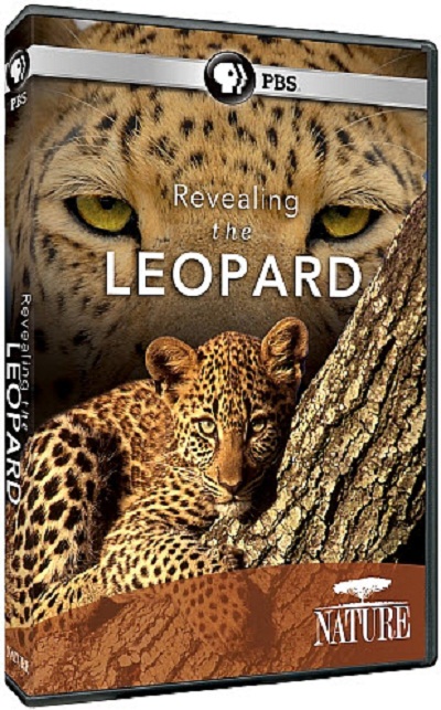 Nature S28E17 Revealing the Leopard HDTV XviD-FQM