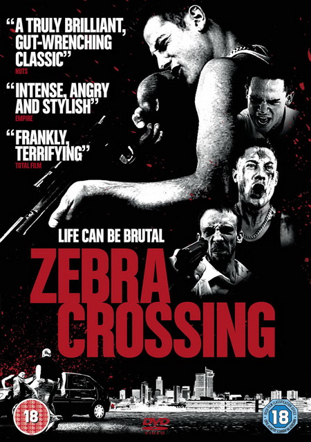 Zebra Crossing (2011) DVDRip XviD-ViP3R